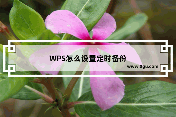 WPS怎么设置定时备份