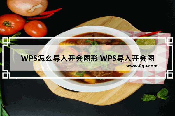 WPS怎么导入开会图形 WPS导入开会图形操作教学分享
