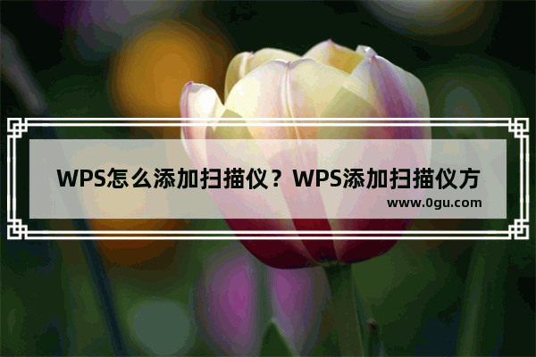 WPS怎么添加扫描仪？WPS添加扫描仪方法