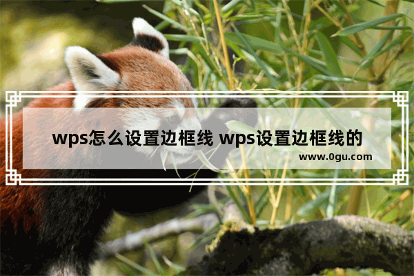 wps怎么设置边框线 wps设置边框线的方法