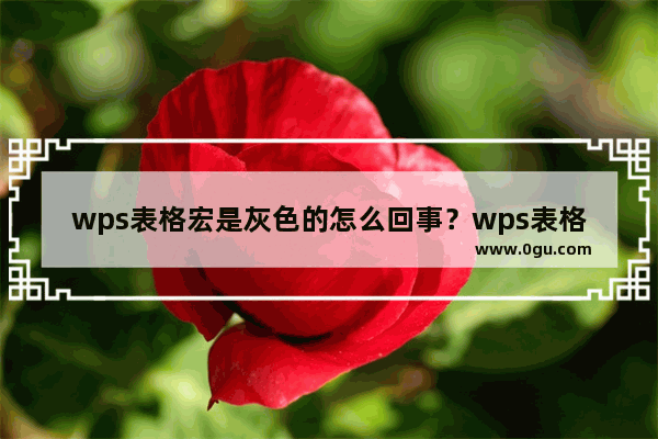 wps表格宏是灰色的怎么回事？wps表格宏按钮为灰色的解决方法