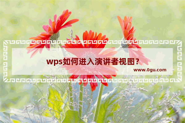 wps如何进入演讲者视图？