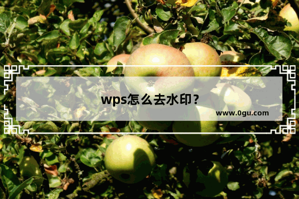 wps怎么去水印？