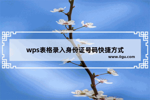 wps表格录入身份证号码快捷方式