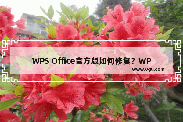 WPS Office官方版如何修复？WPS Office官方版修复的具体操作