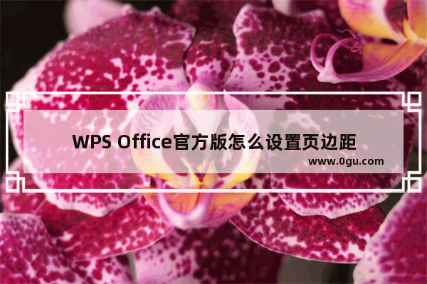 WPS Office官方版怎么设置页边距？WPS Office官方版设置页边距的方法