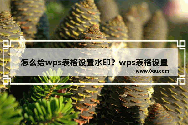 怎么给wps表格设置水印？wps表格设置水印方法