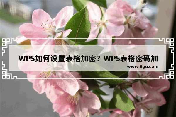 WPS如何设置表格加密？WPS表格密码加密设置方法