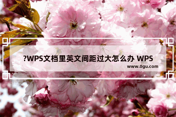 ?WPS文档里英文间距过大怎么办 WPS Word解决英文字母间隔过大的方法教程