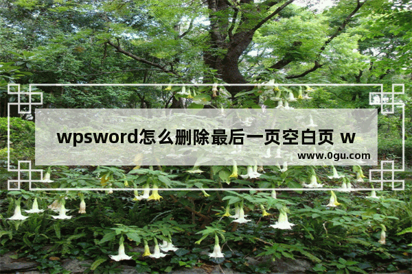 wpsword怎么删除最后一页空白页 wps文档空白页删除方法