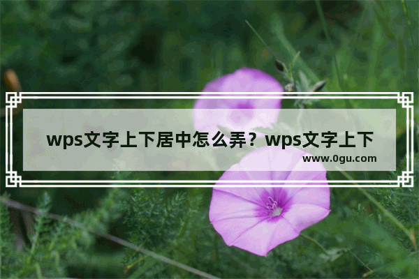 wps文字上下居中怎么弄？wps文字上下居中教程分享！
