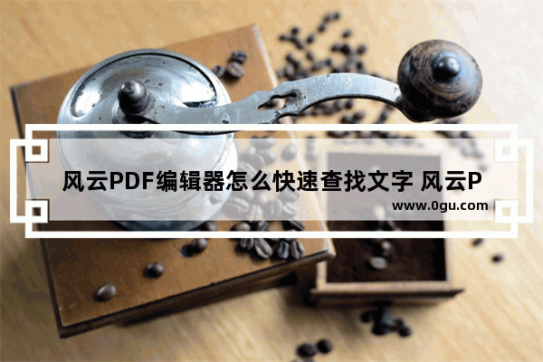 风云PDF编辑器怎么快速查找文字 风云PDF编辑器快速查找文字内容的方法