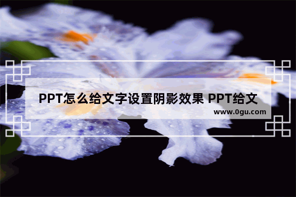 PPT怎么给文字设置阴影效果 PPT给文字设置阴影效果的方法