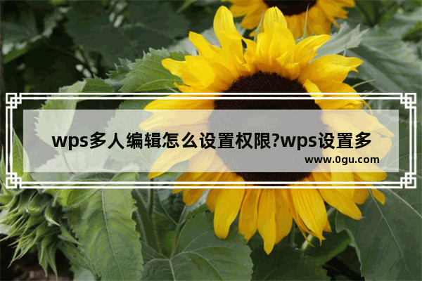 wps多人编辑怎么设置权限?wps设置多人编辑权限教程