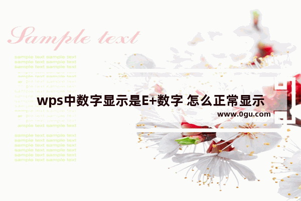 wps中数字显示是E+数字 怎么正常显示