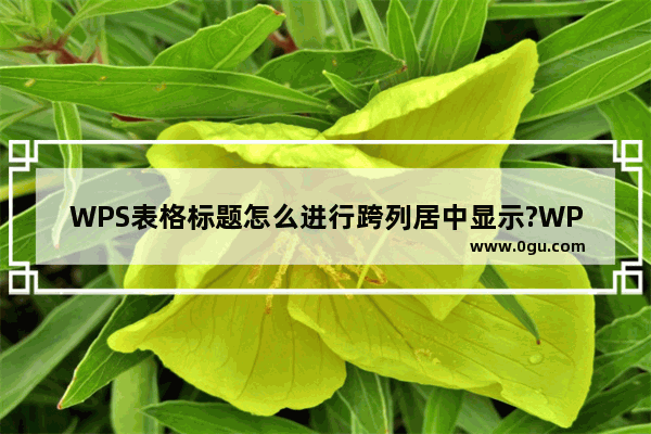 WPS表格标题怎么进行跨列居中显示?WPS表格标题进行跨列居中显示的步骤方法