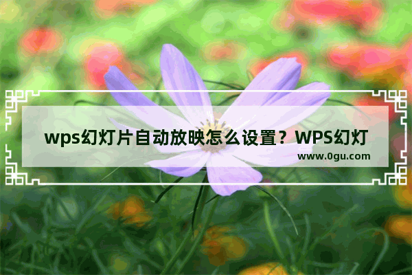 wps幻灯片自动放映怎么设置？WPS幻灯片自动播放教程