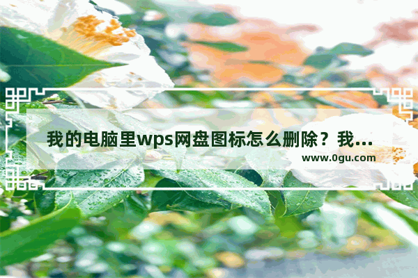 我的电脑里wps网盘图标怎么删除？我的电脑wps网盘删除方法