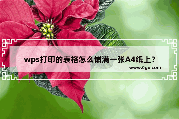 wps打印的表格怎么铺满一张A4纸上？