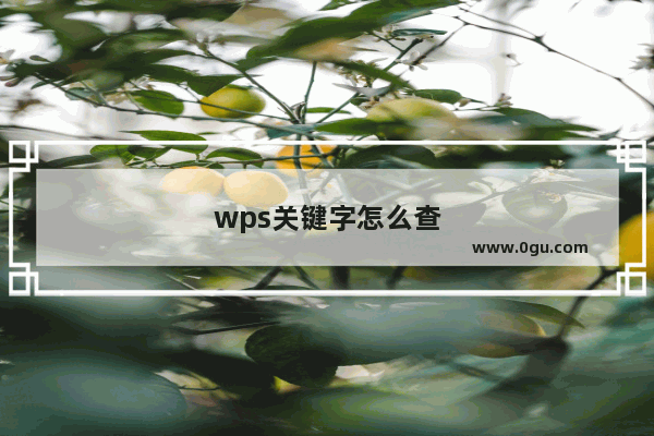 wps关键字怎么查