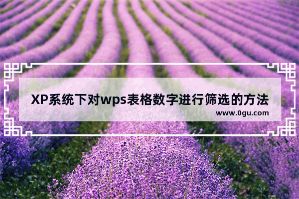 XP系统下对wps表格数字进行筛选的方法