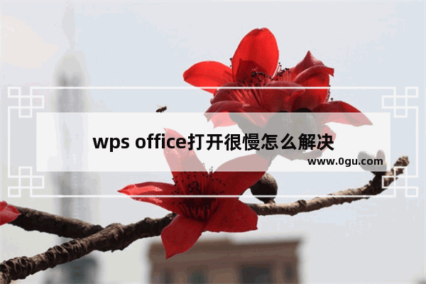 wps office打开很慢怎么解决