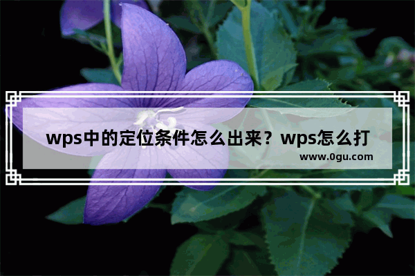 wps中的定位条件怎么出来？wps怎么打开定位条件教程