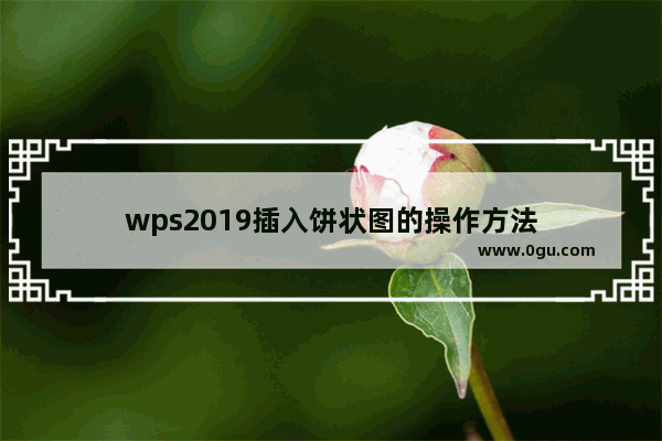 wps2019插入饼状图的操作方法