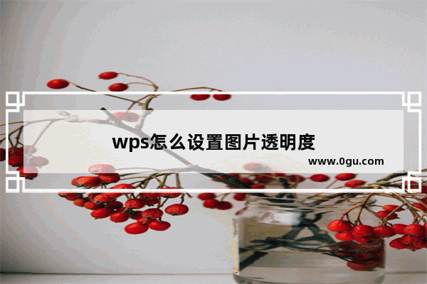 wps怎么设置图片透明度