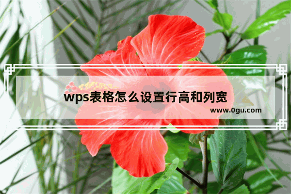 wps表格怎么设置行高和列宽