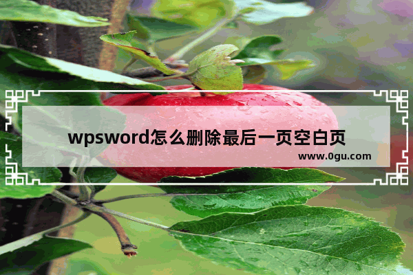 wpsword怎么删除最后一页空白页