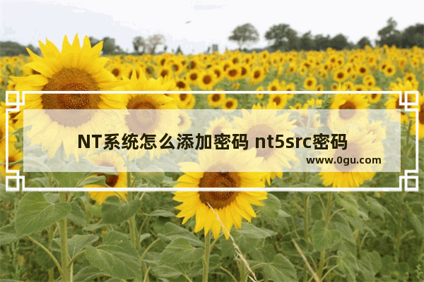 NT系统怎么添加密码 nt5src密码