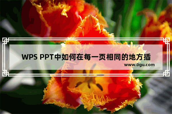 WPS PPT中如何在每一页相同的地方插入公司logo WPS PPT在每一页相同的地方插入公司logo的方法