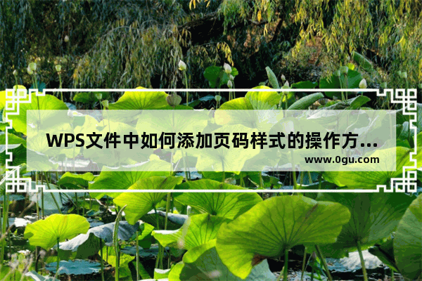 WPS文件中如何添加页码样式的操作方法教学分享