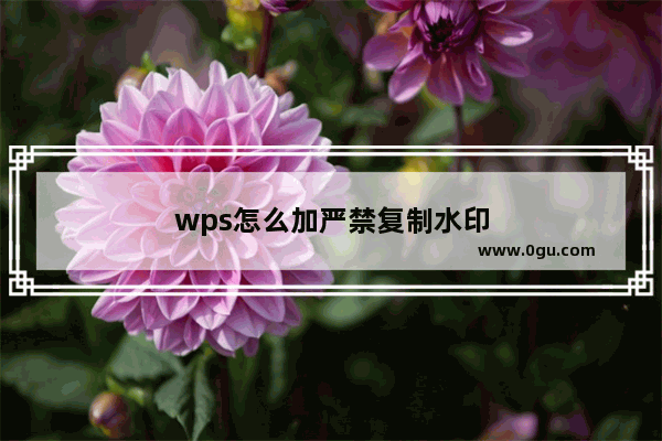 wps怎么加严禁复制水印