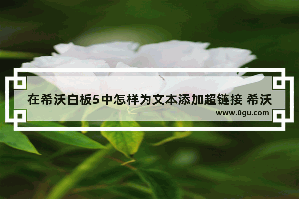 在希沃白板5中怎样为文本添加超链接 希沃白板5中为文本添加超链接的方法