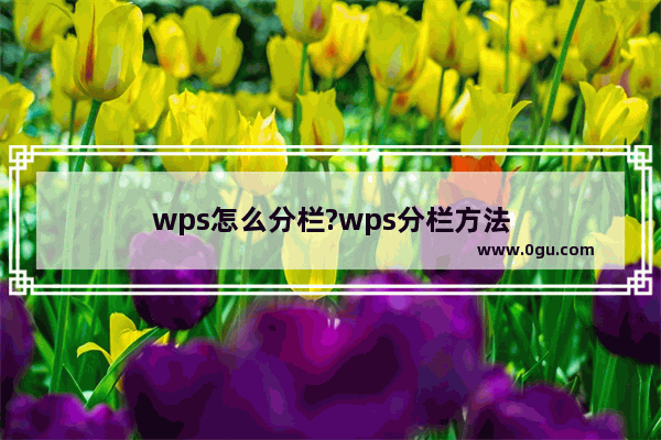 wps怎么分栏?wps分栏方法