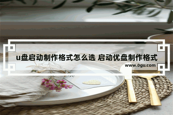 u盘启动制作格式怎么选 启动优盘制作格式
