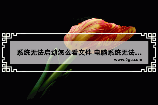 系统无法启动怎么看文件 电脑系统无法启动如何查看ip