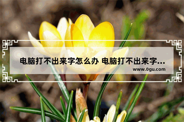 电脑打不出来字怎么办 电脑打不出来字怎么办华为