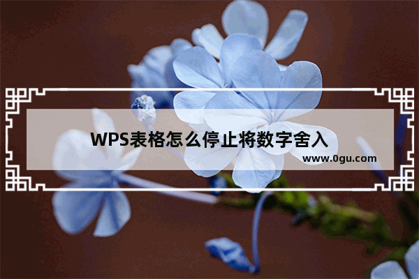 WPS表格怎么停止将数字舍入
