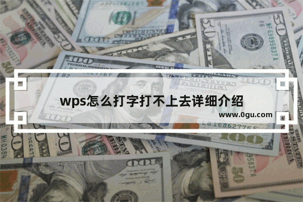 wps怎么打字打不上去详细介绍