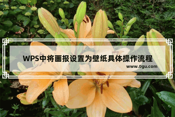 WPS中将画报设置为壁纸具体操作流程