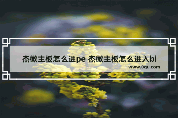 杰微主板怎么进pe 杰微主板怎么进入bios