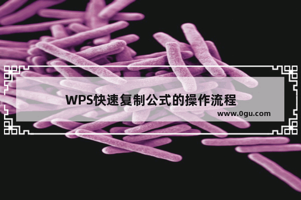 WPS快速复制公式的操作流程