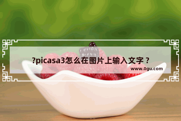 ?picasa3怎么在图片上输入文字 ?picasa3在图片上添加文字的方法