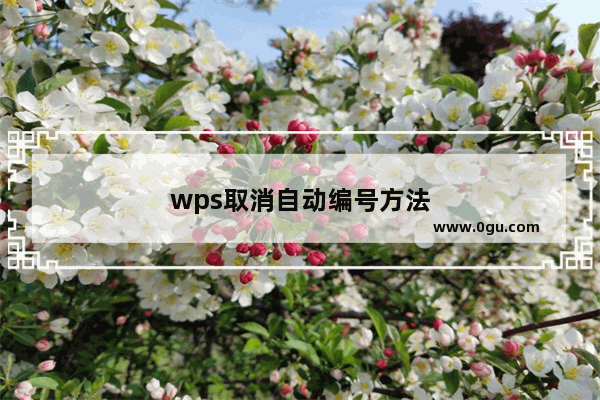 wps取消自动编号方法