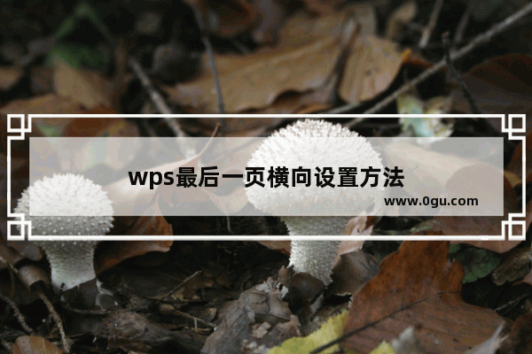 wps最后一页横向设置方法