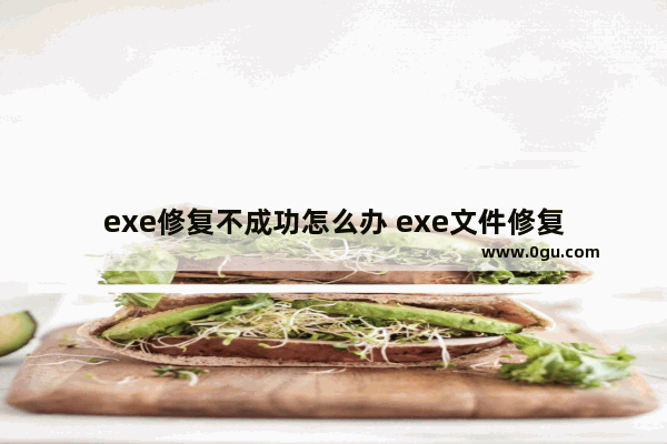 exe修复不成功怎么办 exe文件修复