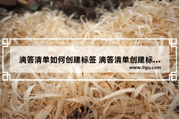 滴答清单如何创建标签 滴答清单创建标签的方法